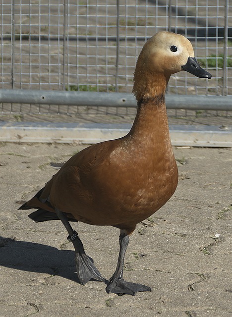 制度