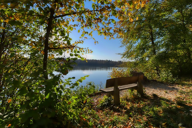 业内人士分 业内人士分