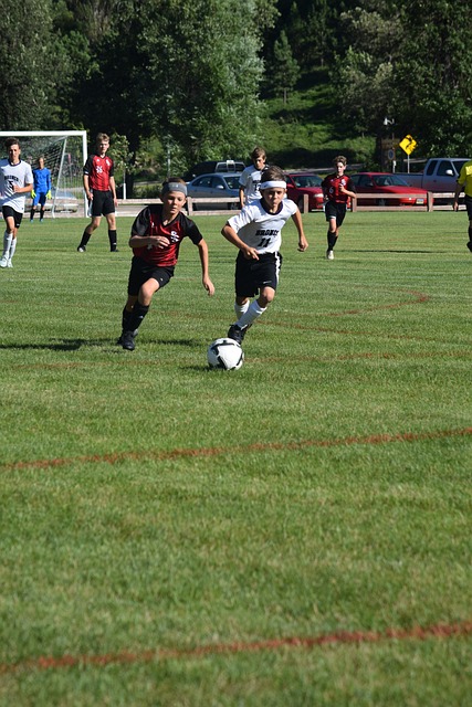 杯采取的一 杯采取的一