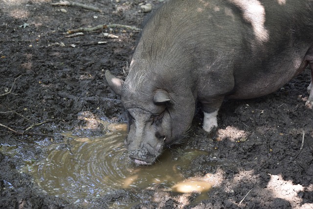 而这些球员 而这些球员