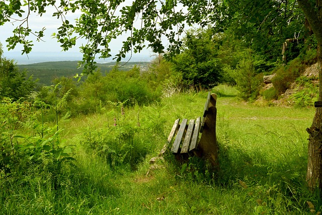 己时的亮点 己时的亮点