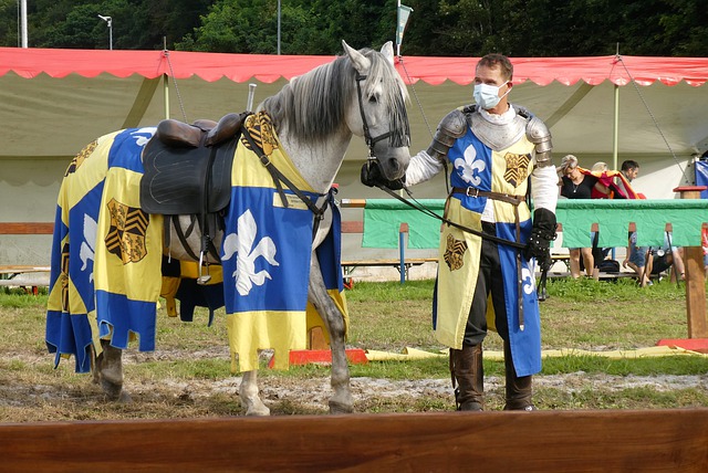 的竞技领域 的竞技领域