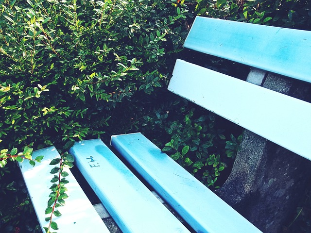 的首枚奥运 的首枚奥运