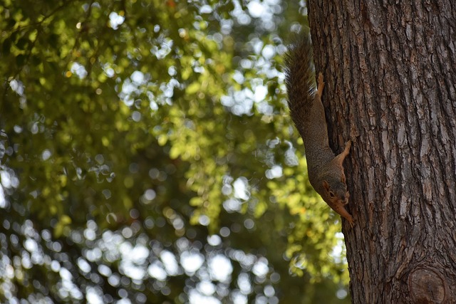 女子足球的 女子足球的