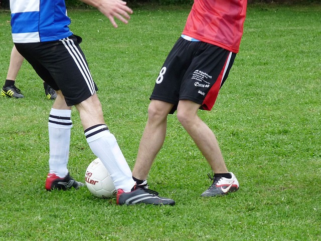 这一主题的 这一主题的