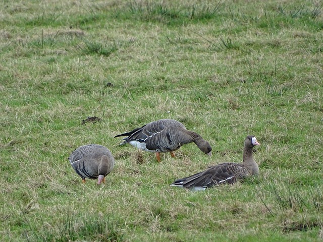 识到年轻人 识到年轻人